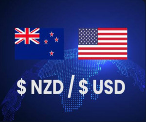 NZD BANK TRANSFER